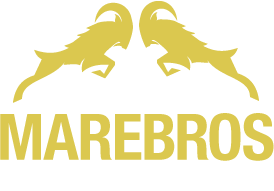 VIP-betting logo